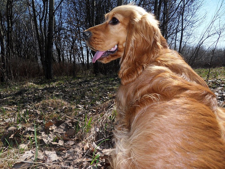 (21t) Anny-24.5.2010.JPG